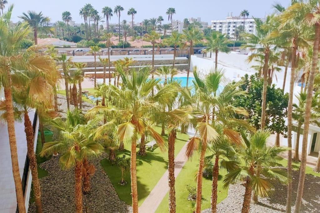 Appartamento La Palmera 311 *